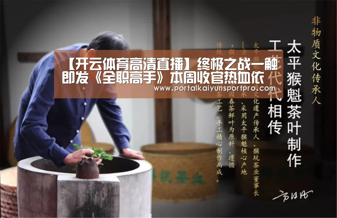 【开云体育高清直播】终极之战一触即发《全职高手》本周收官热血依旧(图1) KAIYUN中国站