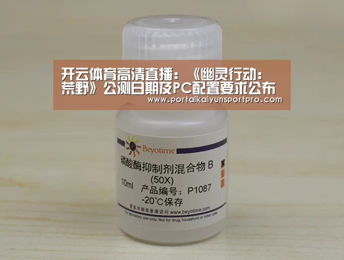 开云体育高清直播:《幽灵行动:荒野》公测日期及PC配置要求公布(图3) 开云体育入口