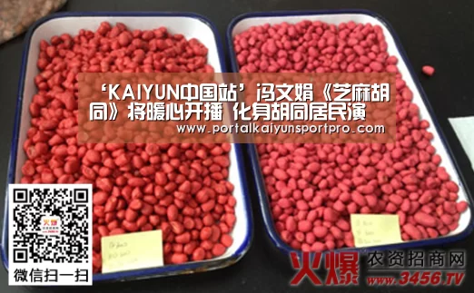 ‘KAIYUN中国站’冯文娟《芝麻胡同》将暖心开播 化身胡同居民演绎酱香百态(图2) 开云体育入口