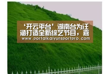 ‘开云平台’湖南台为汪涵打造全新综艺节目, 嘉宾阵容表明受重视程度!(图1) KAIYUN中国站