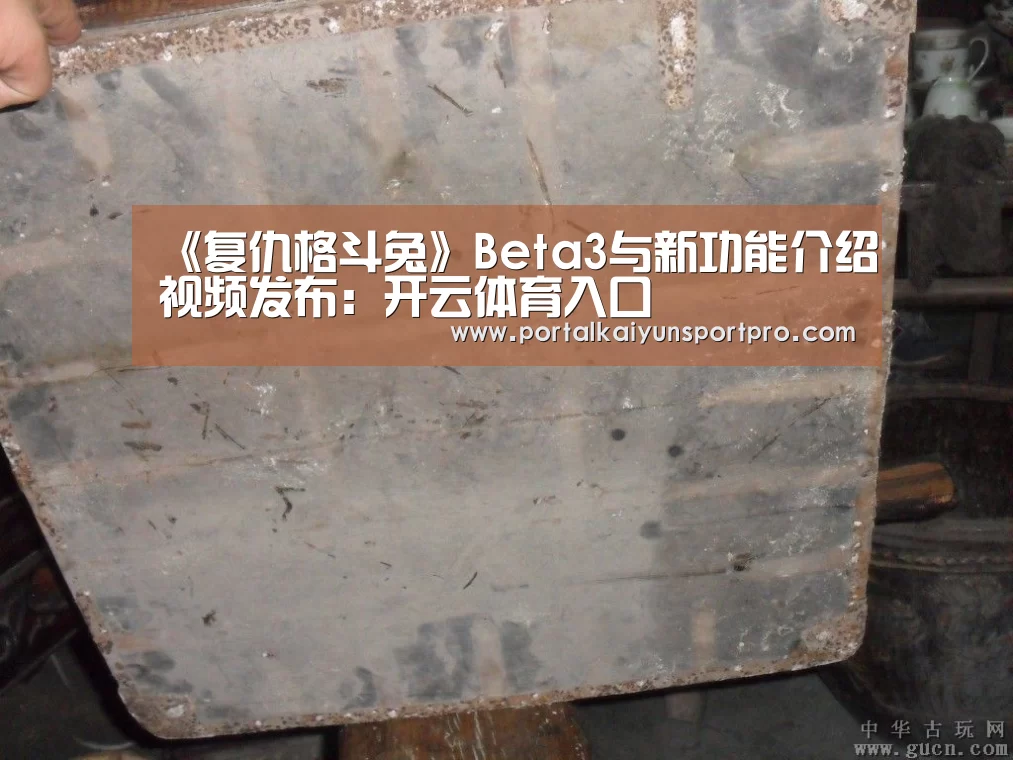 《复仇格斗兔》Beta3与新功能介绍视频发布:开云体育入口(图2) 开云体育高清直播