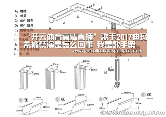 ‘开云体育高清直播’歌手2017迪玛希被禁演是怎么回事 我是歌手第四期有迪玛希吗(图2) 开云体育入口
