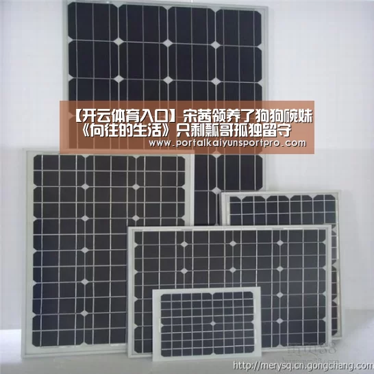 【开云体育入口】宋茜领养了狗狗碗妹 《向往的生活》只剩瓢哥孤独留守(图1) 开云体育入口