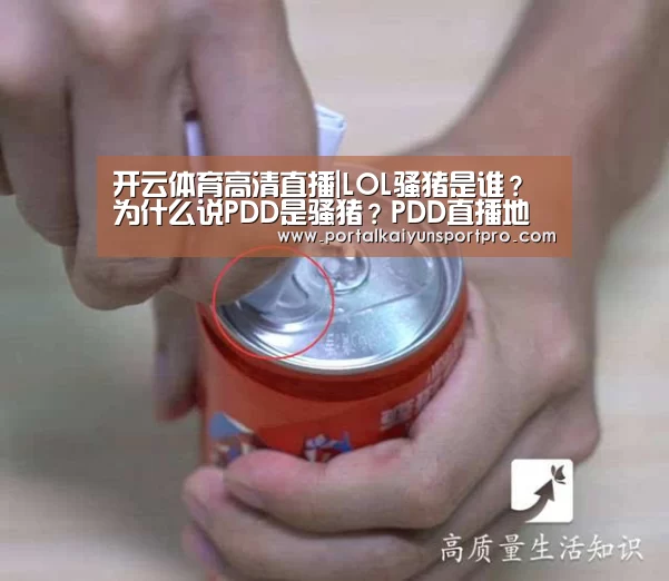 开云体育高清直播|LOL骚猪是谁?为什么说PDD是骚猪?PDD直播地址(图2) KAIYUN中国站