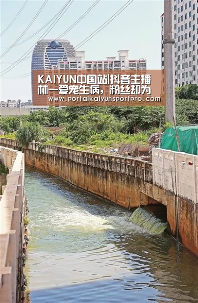 KAIYUN中国站|抖音主播林一爱宠生病,粉丝却为何心疼起了她本人?(图1) 开云体育高清直播