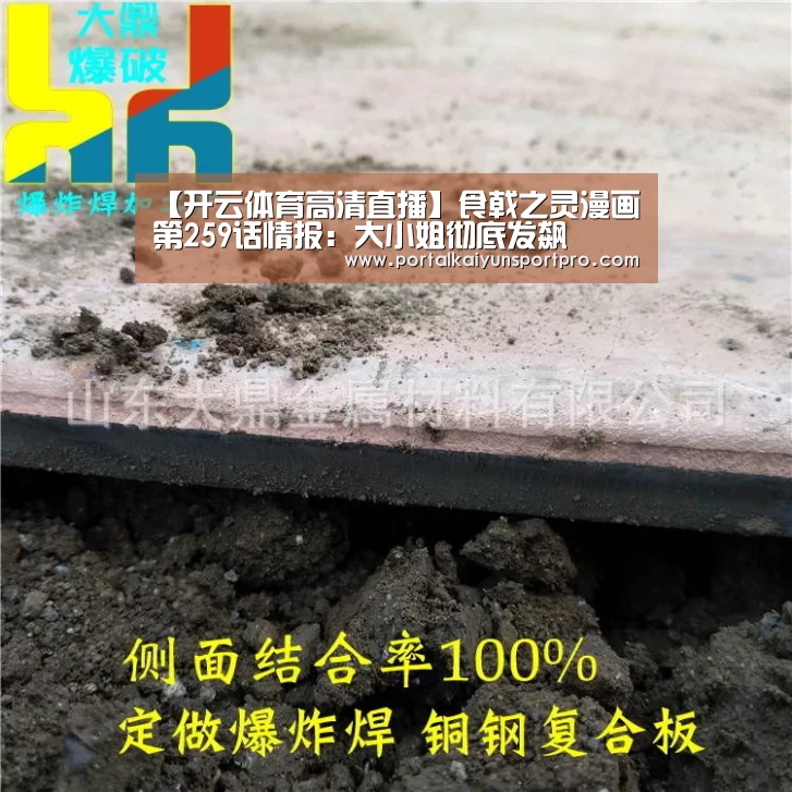 【开云体育高清直播】食戟之灵漫画第259话情报:大小姐彻底发飙(图1) 开云平台